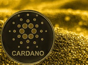 Cardano: especialista alerta para queda de 90% apesar de atualização bem-sucedida