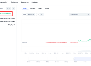 Criador do Ethereum despeja memecoin que valorizou 2.300% só em outubro